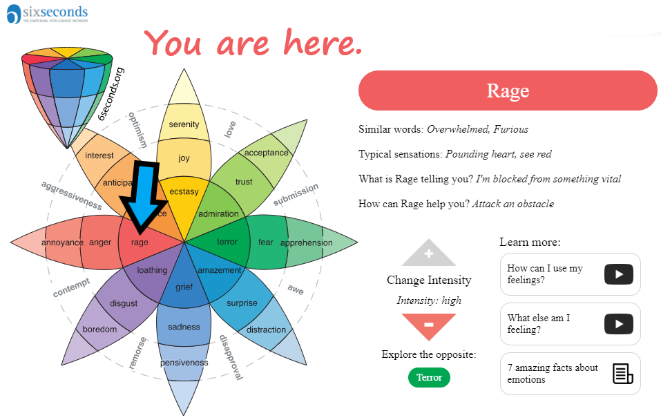 Plutchik Wheel of Emotions