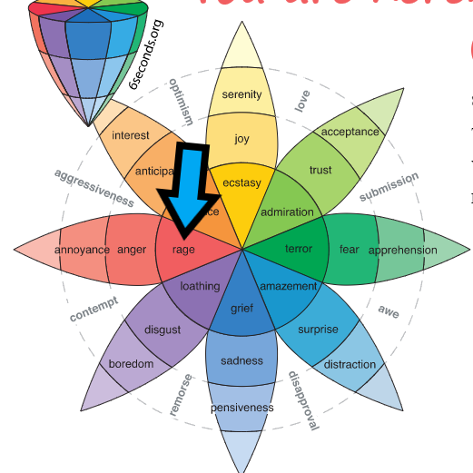 Plutchik Wheel of Emotions